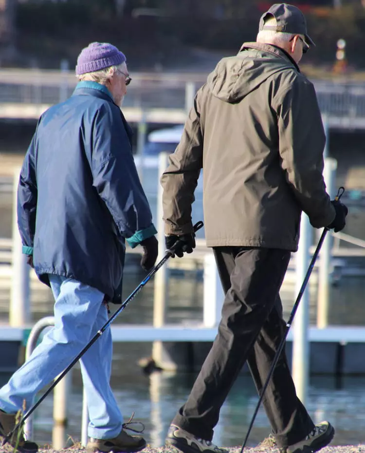 Vorlage_Hochkant Zwei alte Menschen gehen mit Nordic-Walking-Stöcken an einem See entlang. Foto: Pixabay|Pasja1000