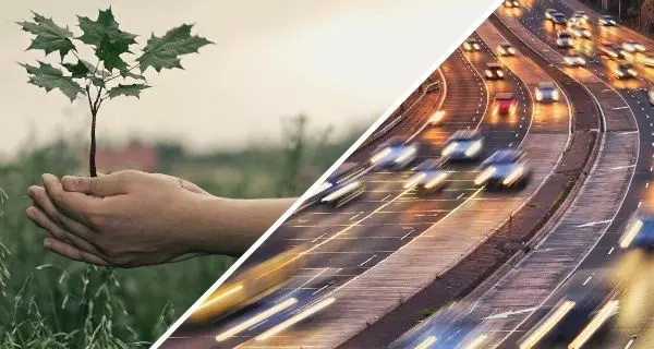 Wahlthemen Klima, Umwelt und Verkehr. Symbolbilder via Canva. Wahlthemen Klima, Umwelt und Verkehr. Symbolbilder via Canva.