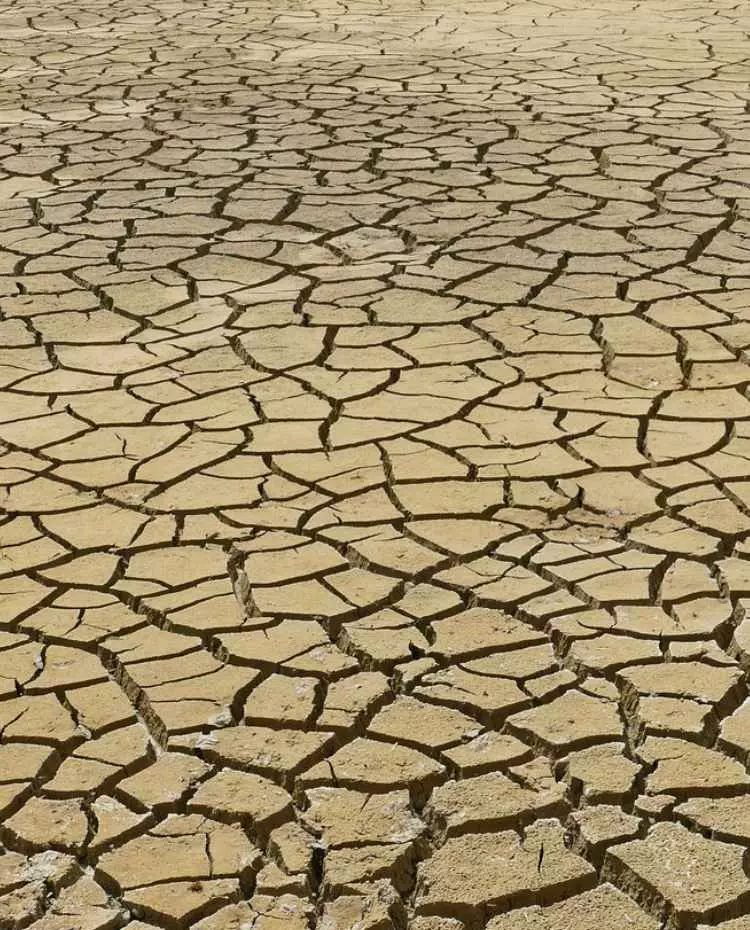 Vorlage_Hochkant Ein ausgetrockneter Boden. Foto: Pixabay|MrsBrown