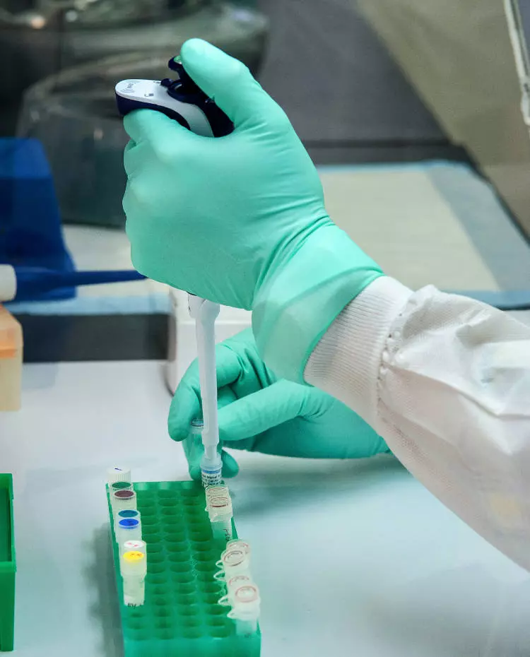 Vorlage_Hochkant Hände hantieren in einem Labor. Foto: Unsplash|cdc